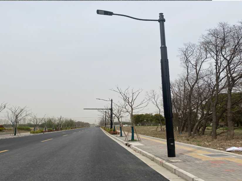 牟定县上海综合杆 太阳能路灯工程
